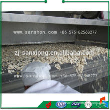 Advanced SBJ-2s-24 Belt Type Industrial Fruit Dehydrator,Fruit Drying Machine